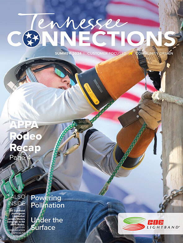 Summer 2024 Tennessee connections magazine
